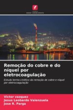Remoção do cobre e do níquel por eletrocoagulação