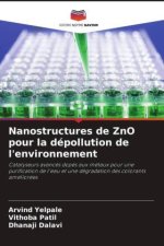 Nanostructures de ZnO pour la dépollution de l'environnement