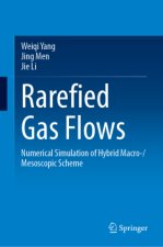 Rarefied Gas Flows