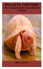 SULCATA TORTOISE