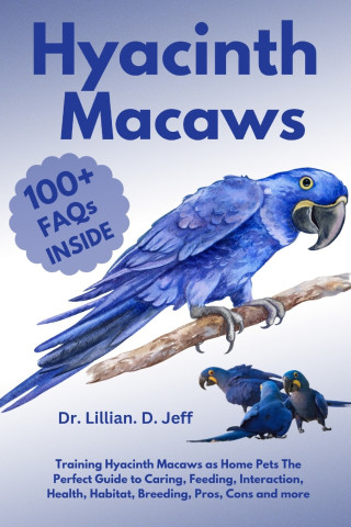 HYACINTH MACAWS