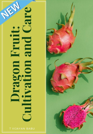 Dragon Fruit