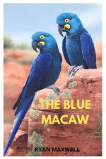 THE BLUE MACAW