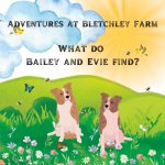 Adventures at Bletchley Farm