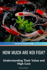 How Much Are Koi Fish?
