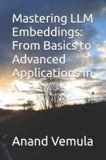 Mastering LLM Embeddings