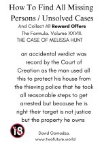 How To Find All Missing Persons / Unsolved Cases. And Collect All Reward Offers. Volume XXVIII.