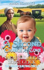 The Amish Baby's Healing Touch