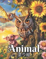 Animal 塗り絵