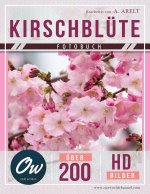 Kirschblüte