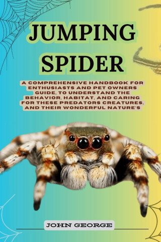 Jumping Spider
