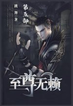 至尊无赖：第五部
