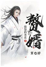 赘婿：第七部