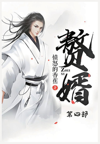 赘婿：第四部