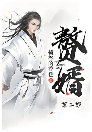 赘婿：第二部