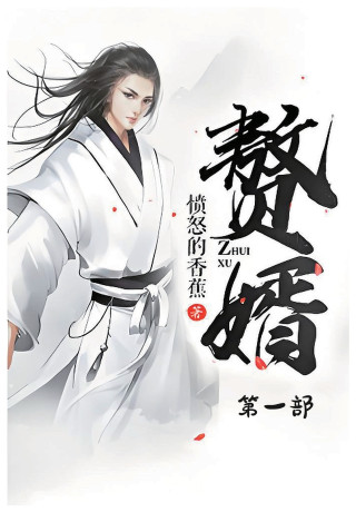 赘婿：第一部