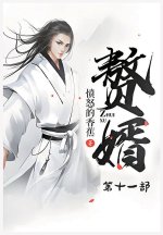 赘婿：第十一部