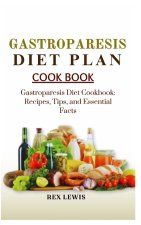 GASTROPARESIS DIET PLAN COOK BOOK