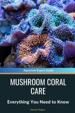 Mushroom Coral Care