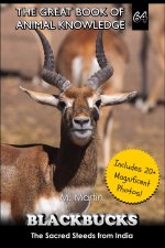 Blackbucks