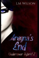 Areyna's End