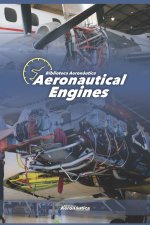 Aeronautical Engines. Pilot handbook. Maintenance handbooks