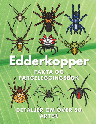 Edderkopper