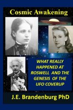 Cosmic Awakening