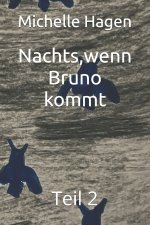 Nachts,wenn Bruno kommt