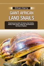 GIANT AFRICAN LAND SNAILS