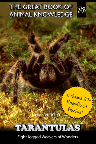 Tarantulas