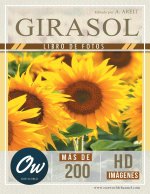 Girasol