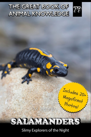 Salamanders
