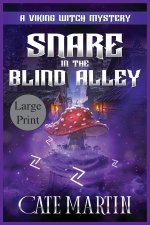 Snare in the Blind Alley