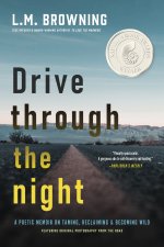Drive Through the Night