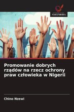 Promowanie dobrych rządów na rzecz ochrony praw człowieka w Nigerii