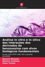Análise in vitro e in silico das interações dos derivados da benzoxazina com alvos biológicos fundamentais