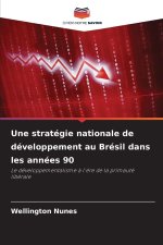 Une stratégie nationale de développement au Brésil dans les années 90