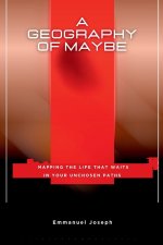 A Geography of Maybe, Mapping the Life That Waits in Your Unchosen Paths
