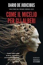 Come il micelio per gli alberi