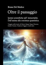 Oltre il passaggio. Ipotesi scientifiche sull' immortalità. Dall'anima alla coscienza quantistica