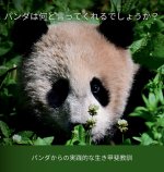 パンダは何と言ってくれるでしょうか？