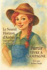Le nouvel horizon d Amber