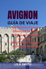 AVIGNON GUÍA DE VIAJE