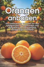 Orangen anbauen