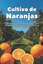 Cultivo de Naranjas