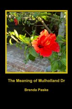 The Meaning of Mulholland Dr