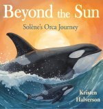 Beyond the Sun