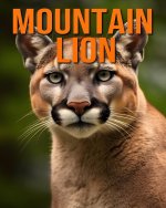 Mountain Lion