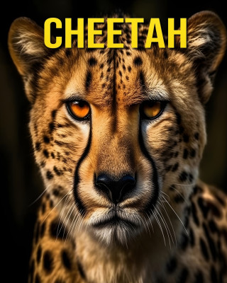 Cheetah